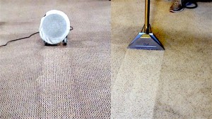 Compare Hot Water Extraction to Dry Orbital Carpet Cleaning